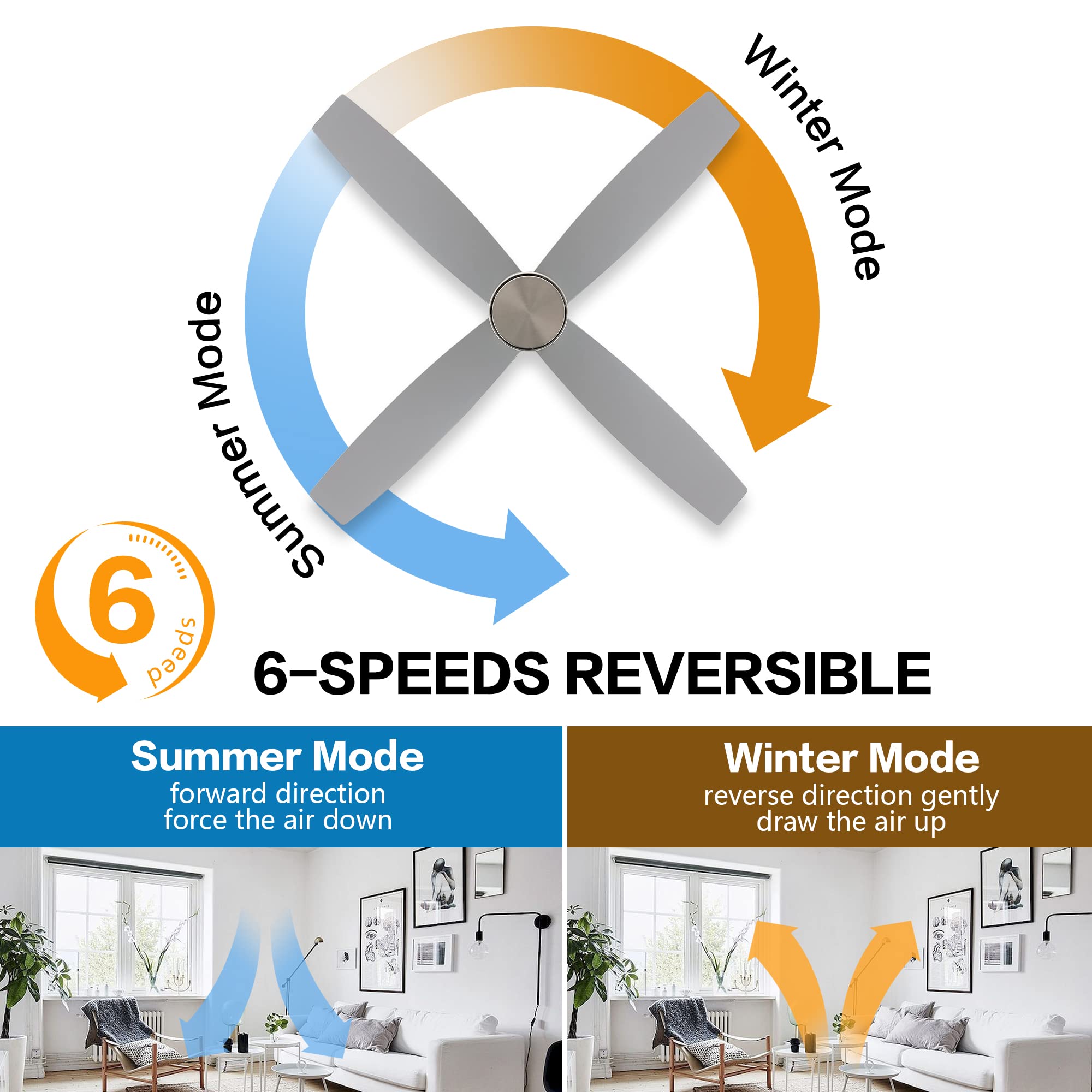 Amazon.com: WINGBO 44